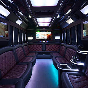 Laredo party limousine interior lights